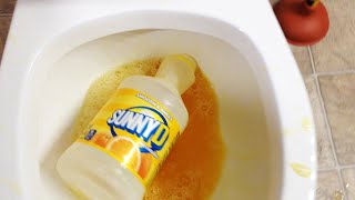 Toilet Vs Sunny D  Will it Flush [upl. by Chemesh]