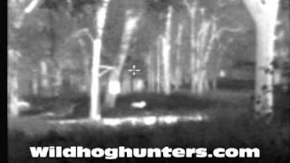 Nightvision and Thermal Hog Hunting at Wild River Ranch [upl. by Whitver895]