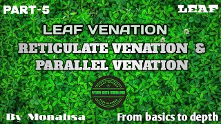 LeafPart5Leaf VenationReticulate Venation amp Parallel VenationNEETScience Class 6thBotany🌱 [upl. by Ambrosine]