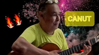 Canut Reyes belle chanson live  Gipsy Kings [upl. by Hintze]