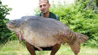 Carp fishing 64lbs 14oz mirror carp tops 30 fish haul from mirror pool France [upl. by Zanze]