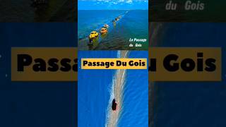 Passage Du Gois Road in France  shorts ytshorts viralshorts kyayahptah [upl. by Lalise]