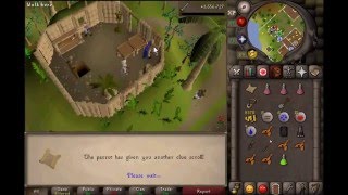 O Birdz A Zany En Pc Hard Clue Osrs2007 [upl. by Daisey399]