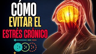 Los 7 Impactos del Estrés Crónico en la Neuroplasticidad del Cerebro y Cómo Evitarlo [upl. by Dawna90]