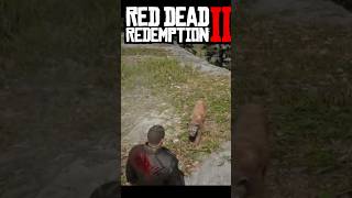 Panther saddle in red dead redemption 2 rdrgameplay rdr2 gaming [upl. by Francisca]