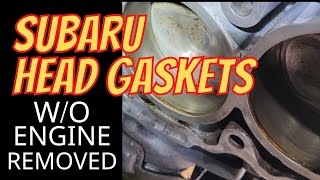 2004 Subaru SOHC EJ Cylinder Head Gasket Replacement Without Engine Removal [upl. by Rinaldo]