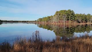 Colliers Mills Wildlife Management Area [upl. by Accever]