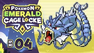 THE FIRST CAGE MATCH  Pokémon Emerald Randomizer Cagelocke w NumbNexus Episode 04 [upl. by Yonita]