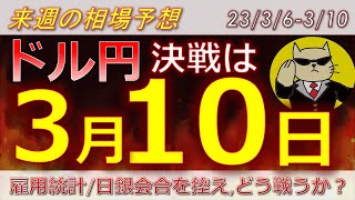 【ドル円最新予想】ドル円は下がってきた今が買い時？簡単解説！雇用統計・日銀会合控え、どう戦うべき？来週の為替相場予想と投資戦略！ベージュブック・ADP・FRBパウエルに注目！2336週【FX】 [upl. by Pharaoh830]