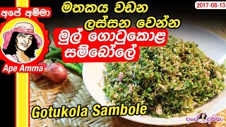 ★ මතකය වඩනලස්සන වෙන්න මුල් ගොටුකොළ සම්බෝලේ Healthy Gotukola Sambole by Apé Amma [upl. by Della]