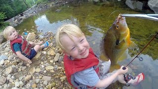 Tiny Creek Fishing  Small creek fishing with bobber and worms  Micro fishing for mummichog [upl. by Eleanore]