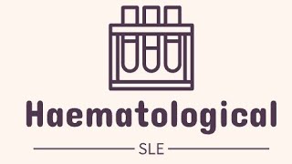 Hematological SLE rheumatology sle blood hematological anemia leucopenia [upl. by Rendrag632]