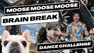 quotMOOSE MOOSE MOOSEquot  Kids Dance Challenge  Brain Break  Super Sing Along Time  Mr Darling [upl. by Noryt]