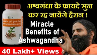 Benefits of Ashwagandha Powder amp Capsule अश्वगंधा के चमत्कारी फायदे [upl. by Didier949]