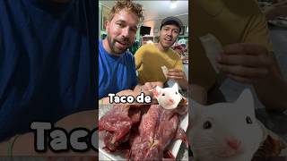 Comiendo TACO DE RATA en Fresnillo Zacatecas 🌮🐀 😳 mexico zacatecas mexicanfood [upl. by Mildred186]