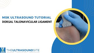 How to evaluate the midfoot for the dorsal talonavicular ligament on ultrasound [upl. by Alad848]