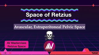 Retzius Space Retropubic Space [upl. by Nogaem]