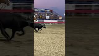 Cody Night Rodeo win classicropes winnerswin xr4 Equibrand [upl. by Gilbertine]