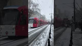 Istanbul tram in the snow snow snowfall travel traveling viral viralshorts nature travelvlog [upl. by Osman605]