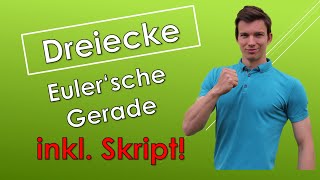 Die Eulersche Gerade  Dreieckskonstruktionen mit SKRIPT [upl. by Llekim94]