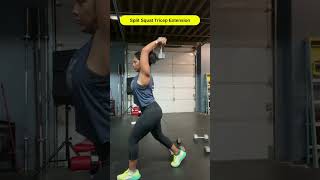 Reverse Split Squat Tricep Extension [upl. by Matthei911]