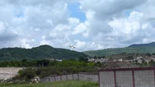 Toncontín  UA 7377 Landing [upl. by Erastatus925]