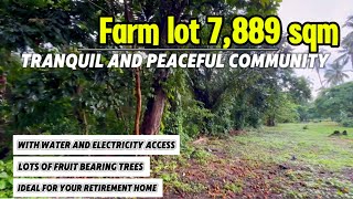 V57124 Alfonso cavite residential farm lot 7889 sqm with fruit bearing trees [upl. by Annoik]