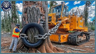 199 Incredible Fastest Big Chainsaw Cutting Tree Machines ▶13 [upl. by Weisburgh21]