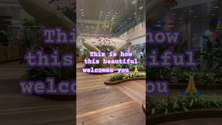 World’s Best Airport  Changi Airport  Singapore changiairport singapore [upl. by Kalli423]