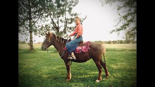 Sweet Appy X Welsh Pony For Sale [upl. by Jarrod]