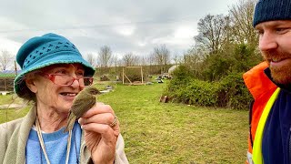 Chiffchaff  A Beautiful Warbler Explained [upl. by Oderfliw972]