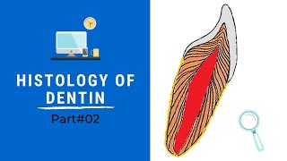 Histology of Dentin  Dentin Pulp Complex Session 5 [upl. by Papageno]