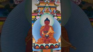 Buddha Amitabha Mantra [upl. by Fiann109]