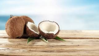 Difference Between MCT Oil and Coconut Oil [upl. by Andrews]