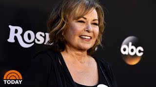 Roseanne Barr Accuses Sara Gilbert Of Destroying Her Life [upl. by Ysset644]