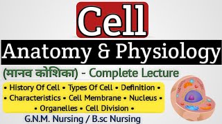 Cell  Cell Anatomy amp Physiology  Anatomy and Physiology [upl. by Rento]