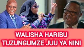 LISSU AFUNGUKA KUWA JPM NA SAMIA WOTE WAMEHARIBU quotTUKAE ZUNGUMZE NINI NA MAZINGIRA GANIquot [upl. by Landes230]