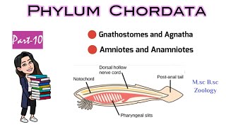 Part10 What are Gnathostomes amp AgnathaDifference between Anamniotes and AmniotesMSc BSc Zoology [upl. by Hsekin]