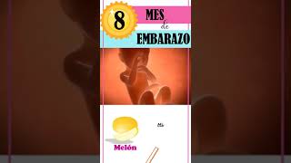 🤔 QUE PASA EN EL 8️⃣ MES DE EMBARAZO🤰 ⏩ SEMANA 31 a 35 [upl. by Ainit]