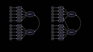 Configural invariance [upl. by Vinaya]