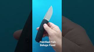 Petrified Fish Beluga fixed [upl. by Ainahtan]