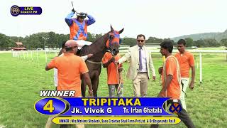 TRIPITAKA with Vivek G up wins The BANanaiah Memorial Trophy 2024 RACE 31 [upl. by Orren644]