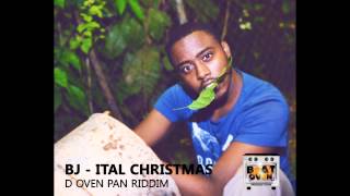 BJ  Ital Christmas D Oven Pan Riddim Trinidad Parang 2012 HD [upl. by Piero125]