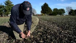 Tim Seifert Farmer  Auburn Illinois [upl. by Aivekahs]