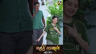 බඩා සමන් නිශී හමුවට [upl. by Py]