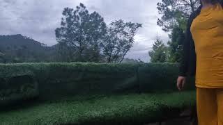 Orillia resort kasauli [upl. by Naor]