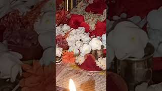 dhevi navaratri pooja liammavariki archanalu [upl. by Ecinert]