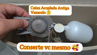 Caixa Acoplada Antiga Vazando no obturador 👷 faça você mesmo DIY [upl. by Derte503]