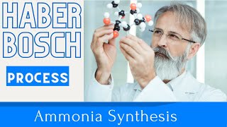 Haber Bosch Process  Haber Bosch Process for Ammonia Production  Chemistry [upl. by Rosie]