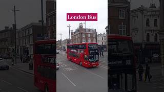 London bus and roads travels shorts [upl. by Kester]